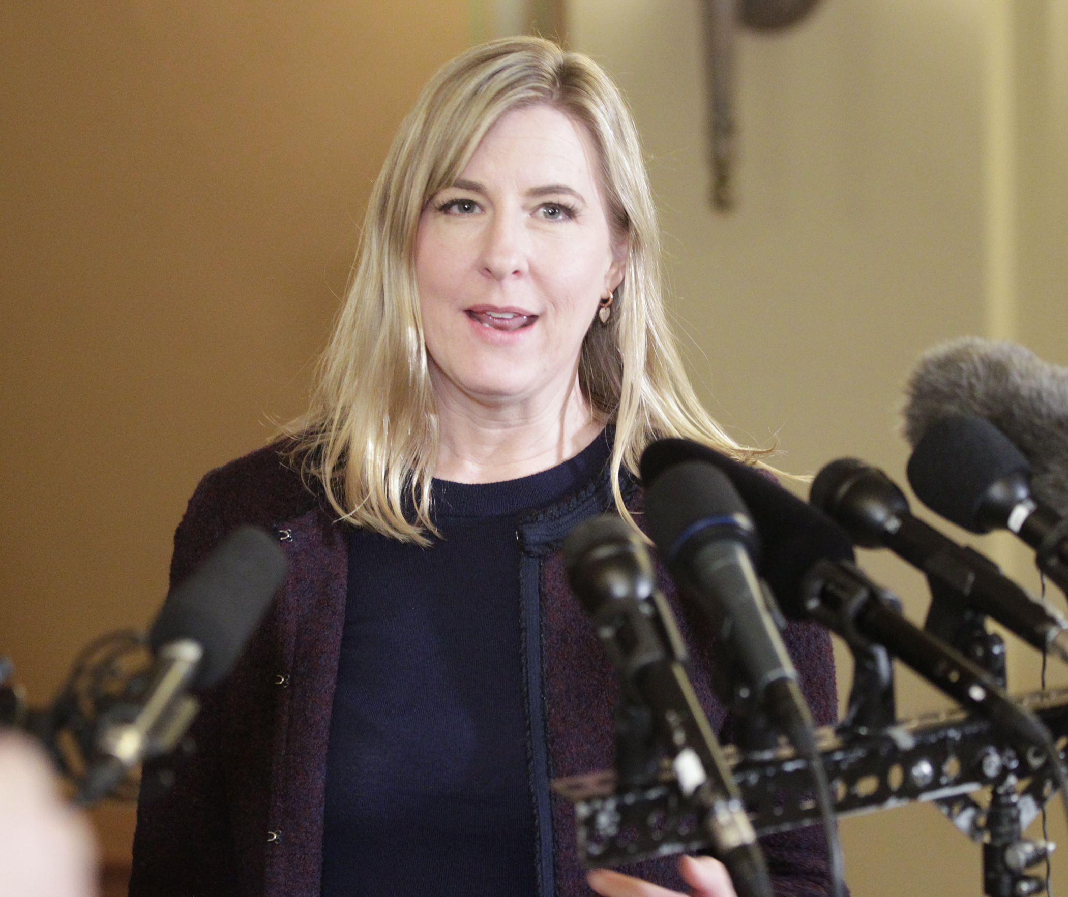 House Speaker Melissa Hortman speaks into multiple microphones to the press not in view.