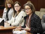 Deborah Jiang-Stein sits at the testifiers' table and speaks to someone out of view. Representative Becker-Finn sits next to her and watches her as she speaks.