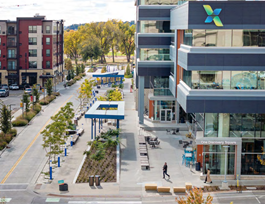Design for DMC showing a tree-lined street and pedestrian walk way.