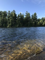 lake and trees in the boundary waters