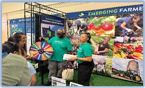 Spinning a prize wheel at the Minnesota State Fair