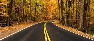 Rural highway through autumn trees by Skeeze via Pixabay