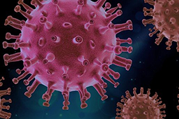 Virus image by PIRO4D from Pixabay