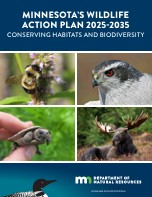 Book cover of Minnesota's Wildlife Action Plan 2025-2035: Conserving Habitats and Biodiversity